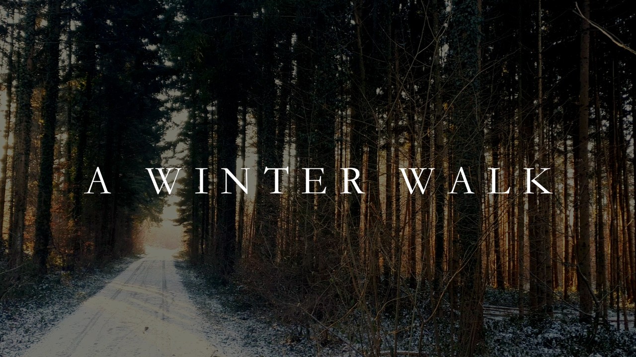 This Winter Walk Turned Into Music | Yukio Elien Lanz – Piano Improvisation