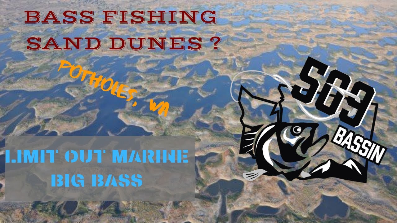 Limit Out Marine Big Bass Tournament Potholes 2019