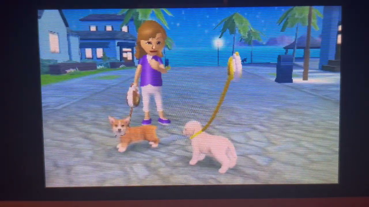 Nintendogs + Cats Golden Retriever Version Day 3 Part 2 (No Commentary) Play Through