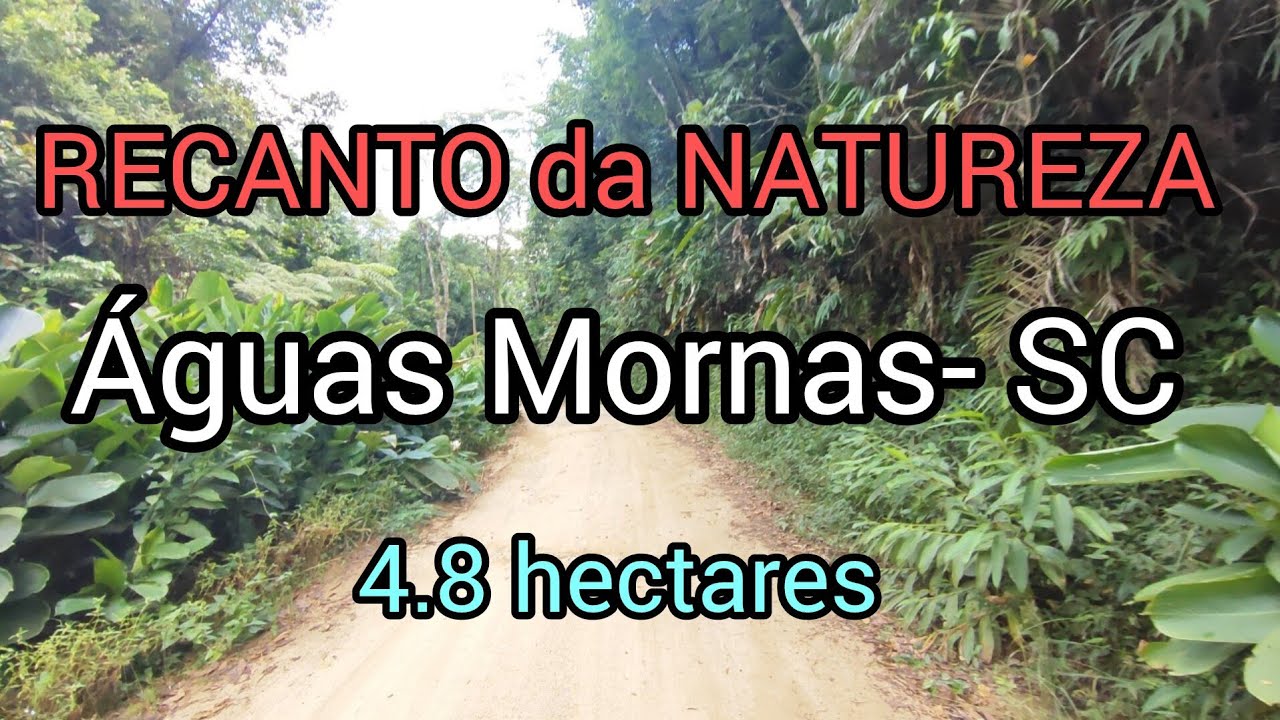 Sítio, Propriedade, Terreno com linda floresta, riachos e nascentes em Águas Mornas - SC....