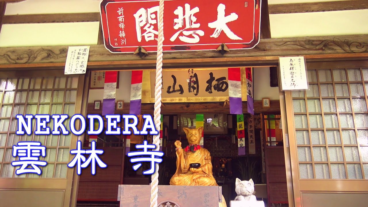 NEKODERA 雲林寺 (2016夏) UNRINJI Buddhist temple.