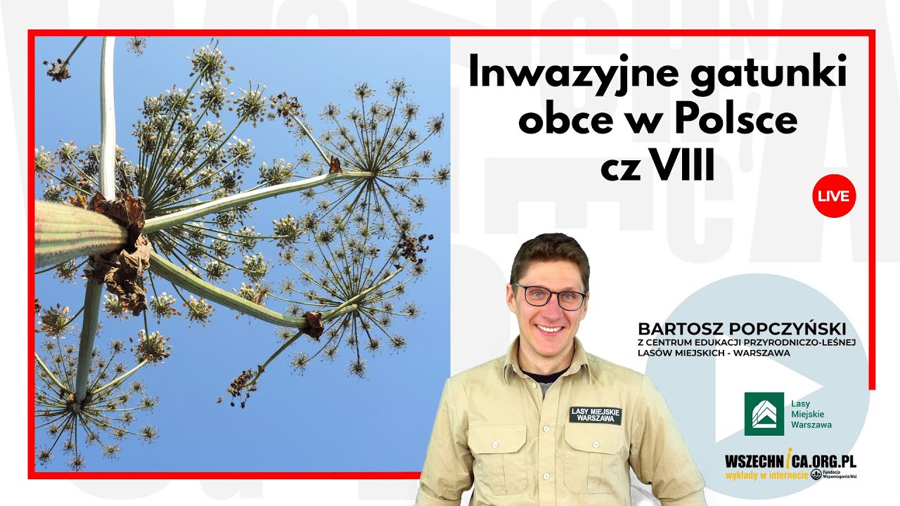 Inwazyjne gatunki obce w Polsce cz.8 / Bartosz Popczyński