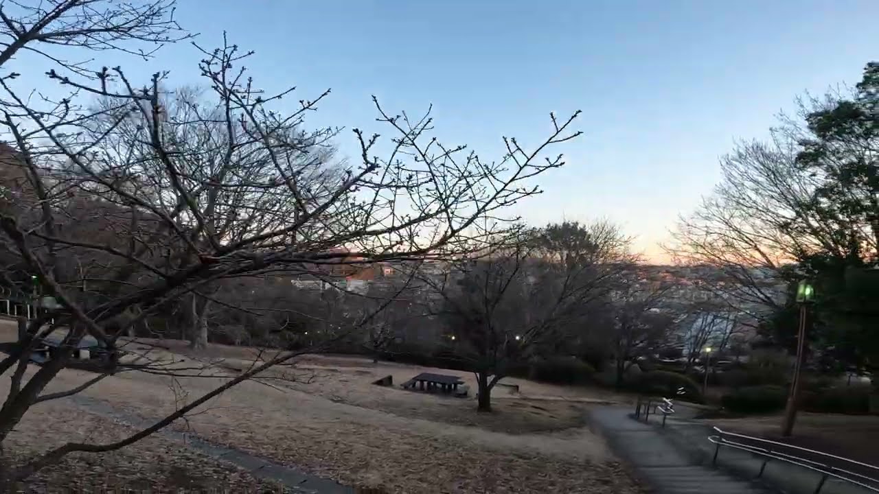 今朝の三ツ沢公園Vol833