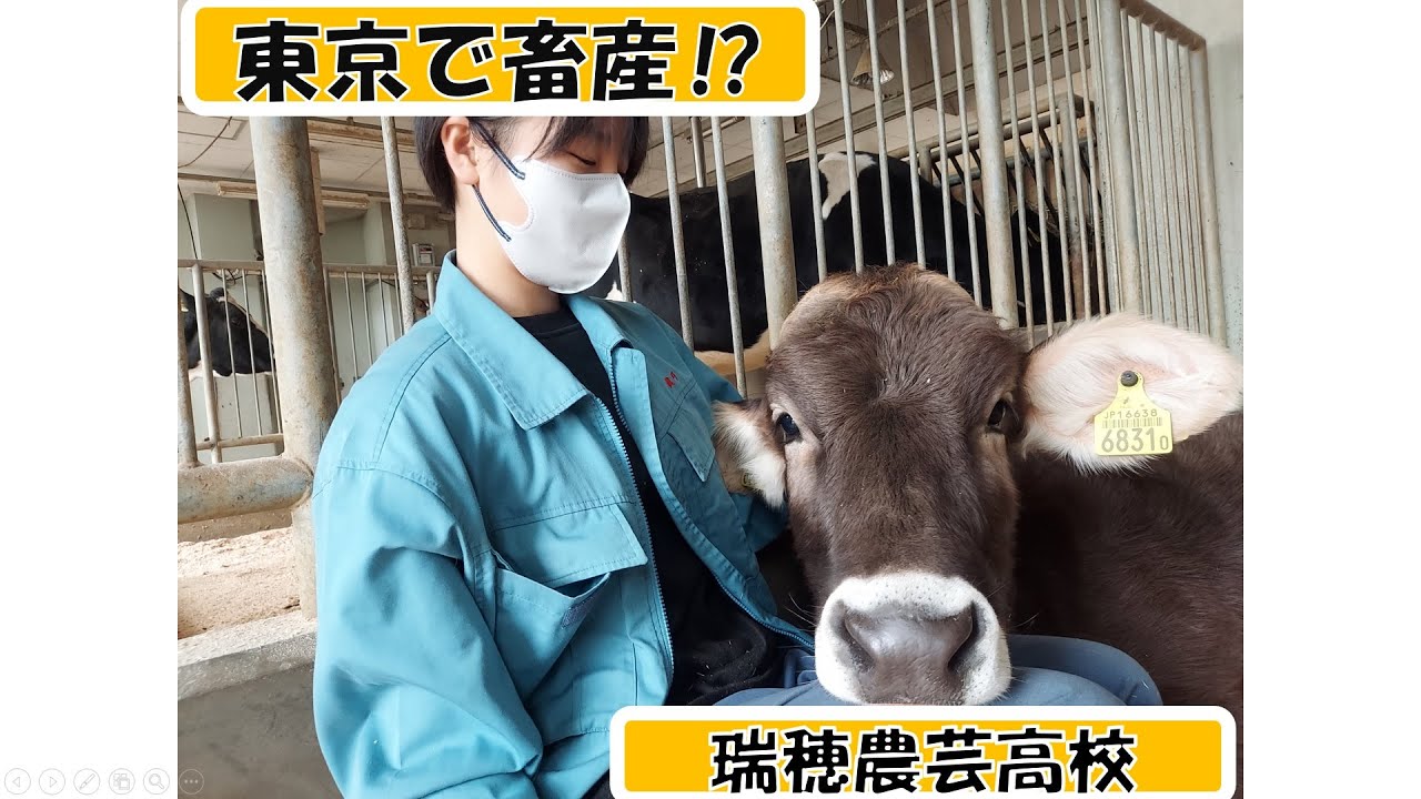 令和5年度　瑞穂農芸高校　畜産科学科紹介（生徒作品）4