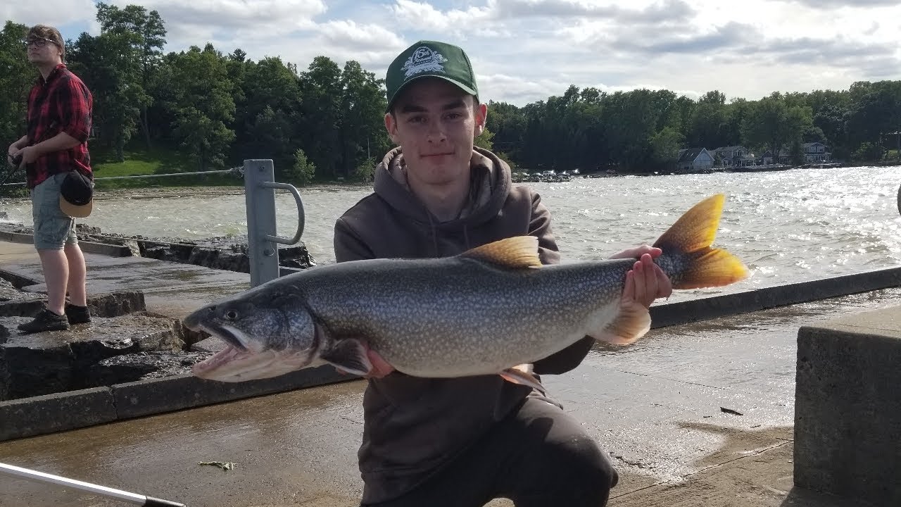 September Trout Slayfest - Giant Lake Trout Casting Lures!