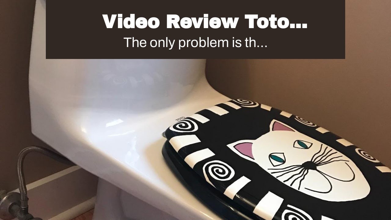 Video Review Toto MS604114CEFG#01 UltraMax II One-Piece Elongated 1.28 GPF Universal Height Toi...