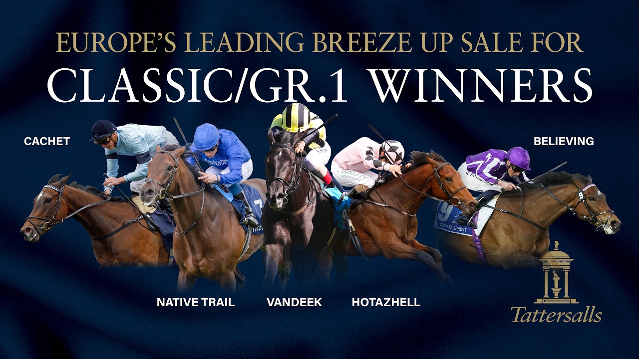 Breezes in Lot Order - Tattersalls Craven Breeze Up Sale 2026