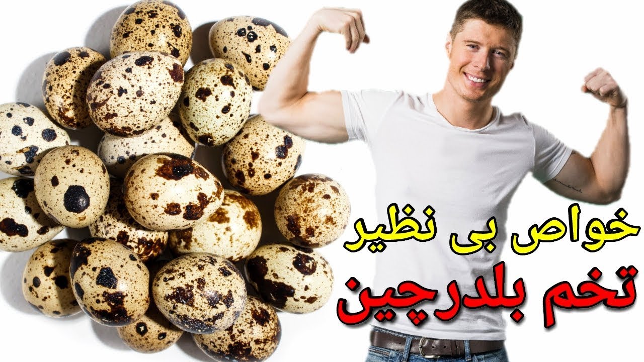 خواص بی نظیر تخم بلدرچین که باید به آن توجه کرد
