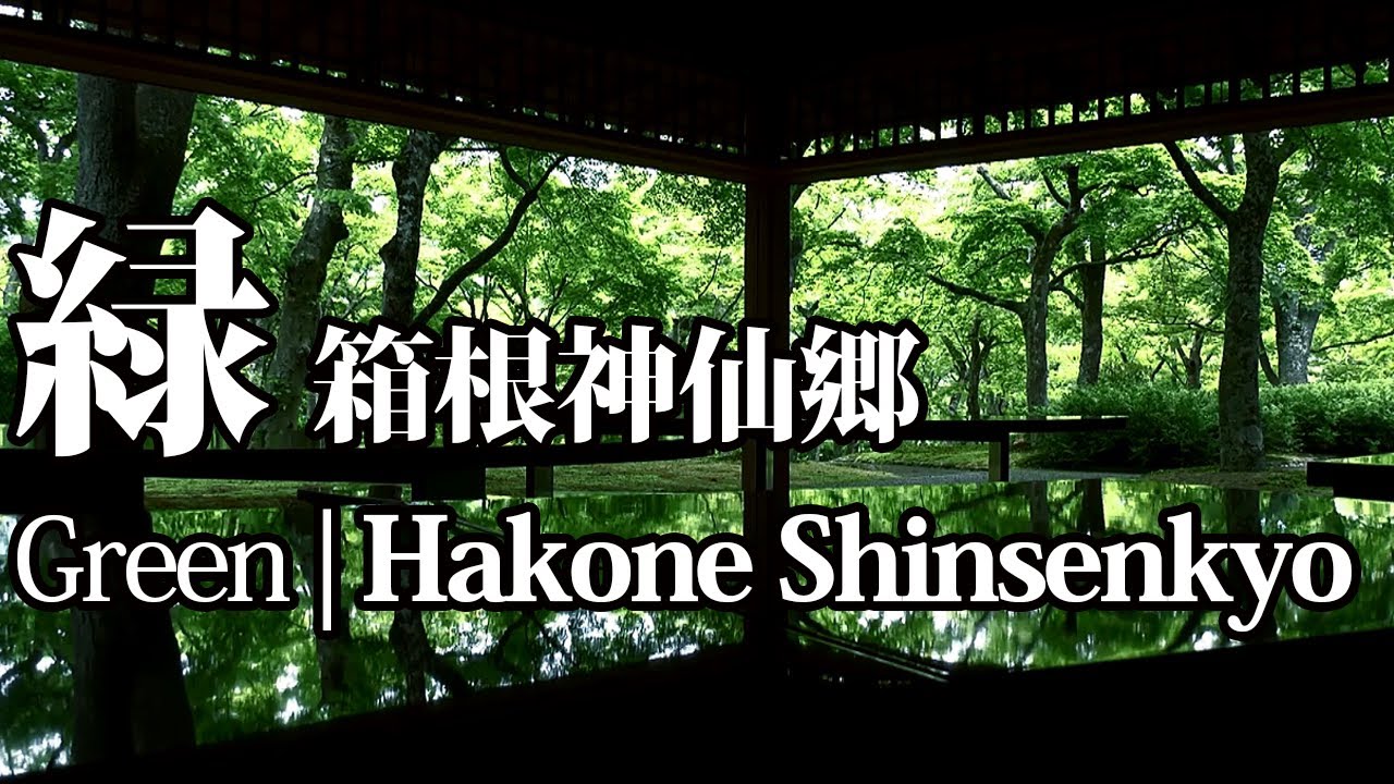 「緑」箱根神仙郷  Green | Hakone Shinsenkyo