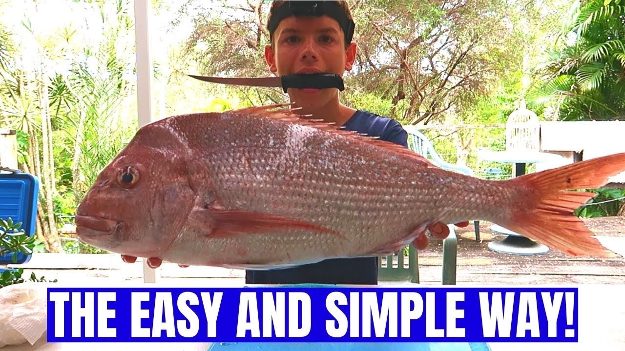 How To Fillet A Big Snapper! (THE BEST WAY!)
