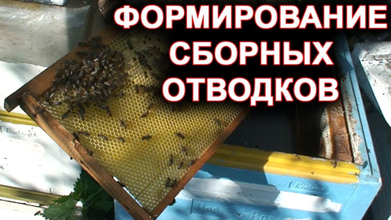 Сборные отводки. Как сделать отводок.