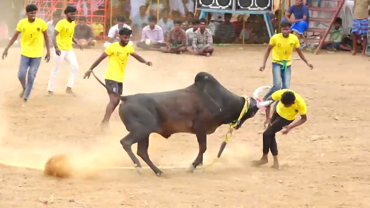 கூலிபட்டி மந்தைக்கருப்பண்ணசாமி குழு Vs கெளரிப்பட்டி விஜய்தேவர் அசால்ட் காரிக்காளை | PK Media