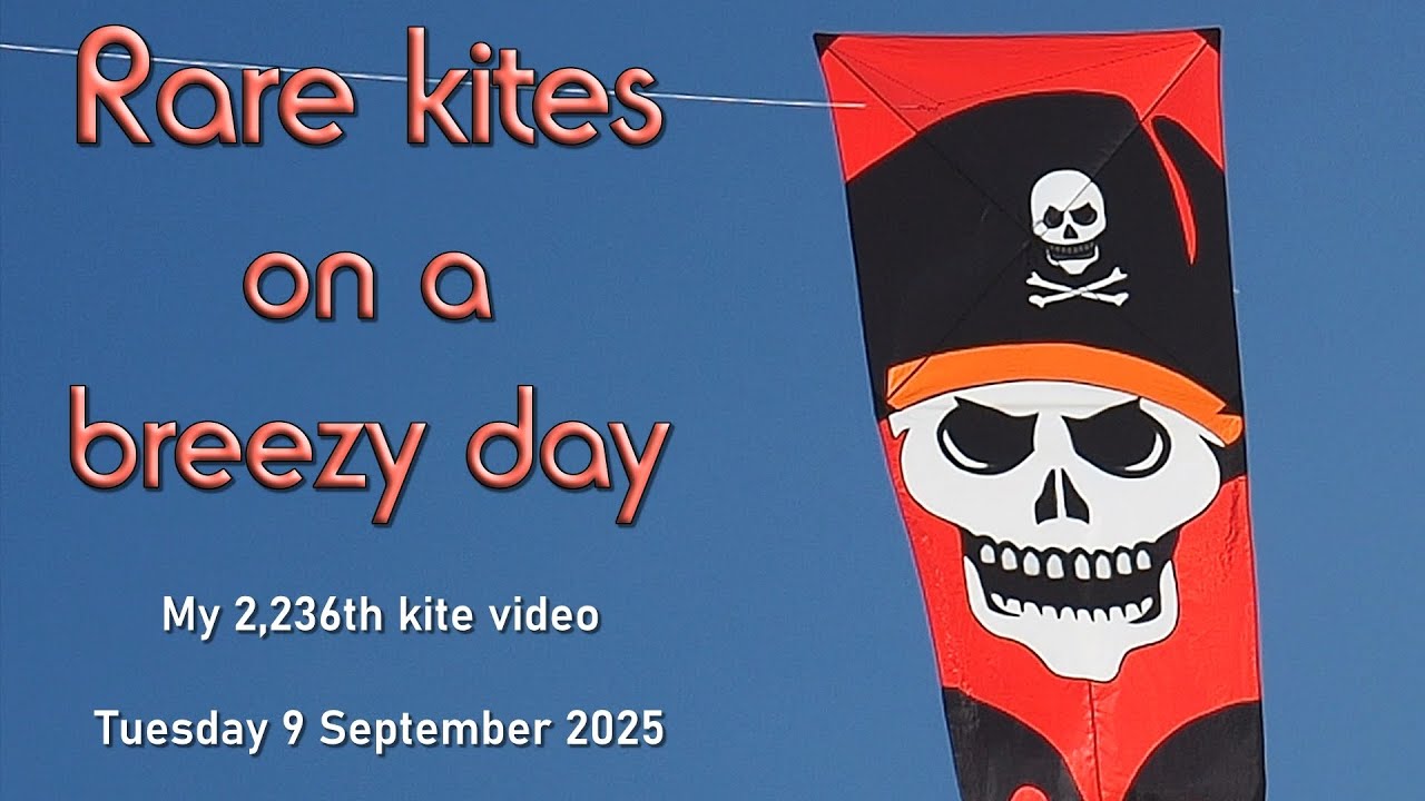 Rare kites on a breezy day