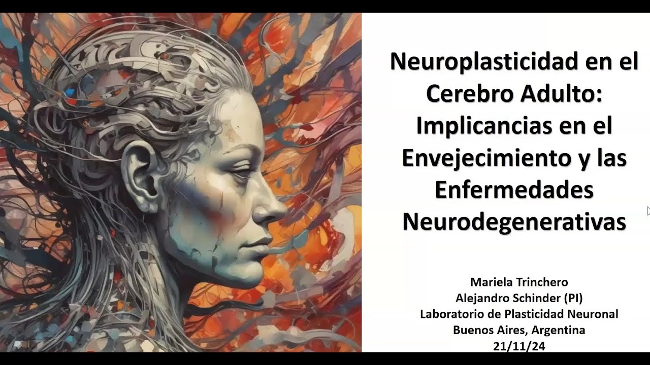 Neuroplasticidad en el Cerebro Adulto: Implicancias en el Envejecimiento y las Enfermedades