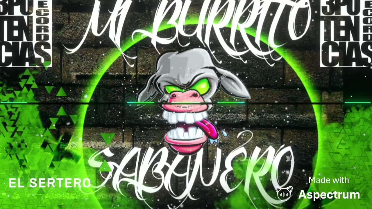Mi Burrito Sabanero 🔥 Guaracha,Aleteo,Tribal 