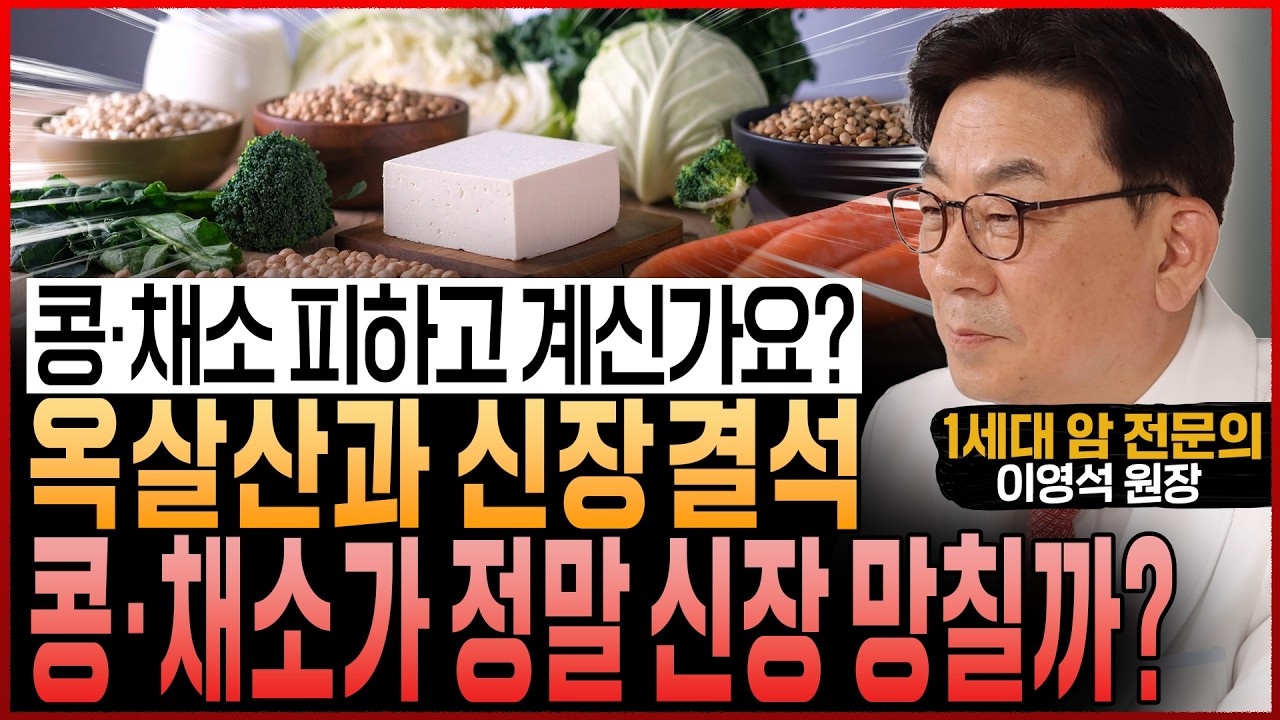 콩&middot;채소가 신장에 &lsquo;돌&rsquo;을 만든다고요? 암 환자들도 걱정한 옥살산, 제대로 풀어드립니다 (이영석 원장)