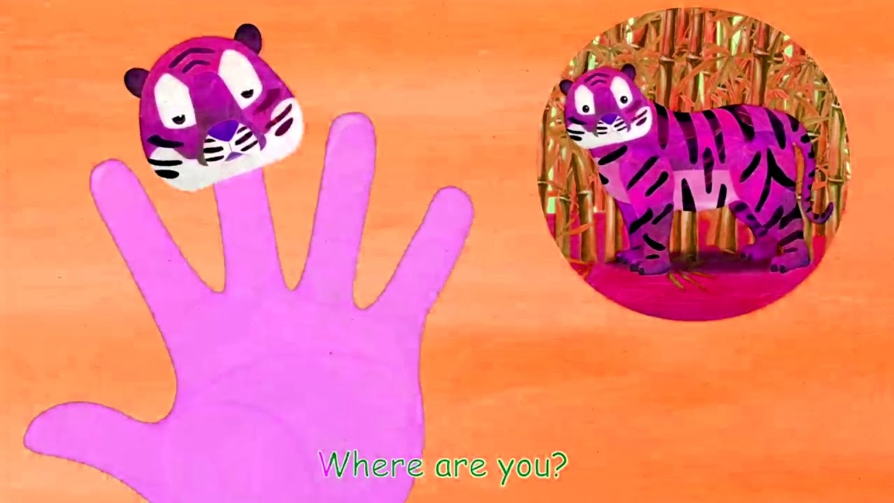 Tiger Finger Where Are You? Finger Family ( Animal Version) | Sponsored By Gamavision Csupo Effects 