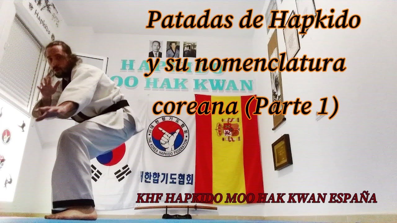 Patadas Hapkido MHK y su nomenclatura coreana (Parte 1)