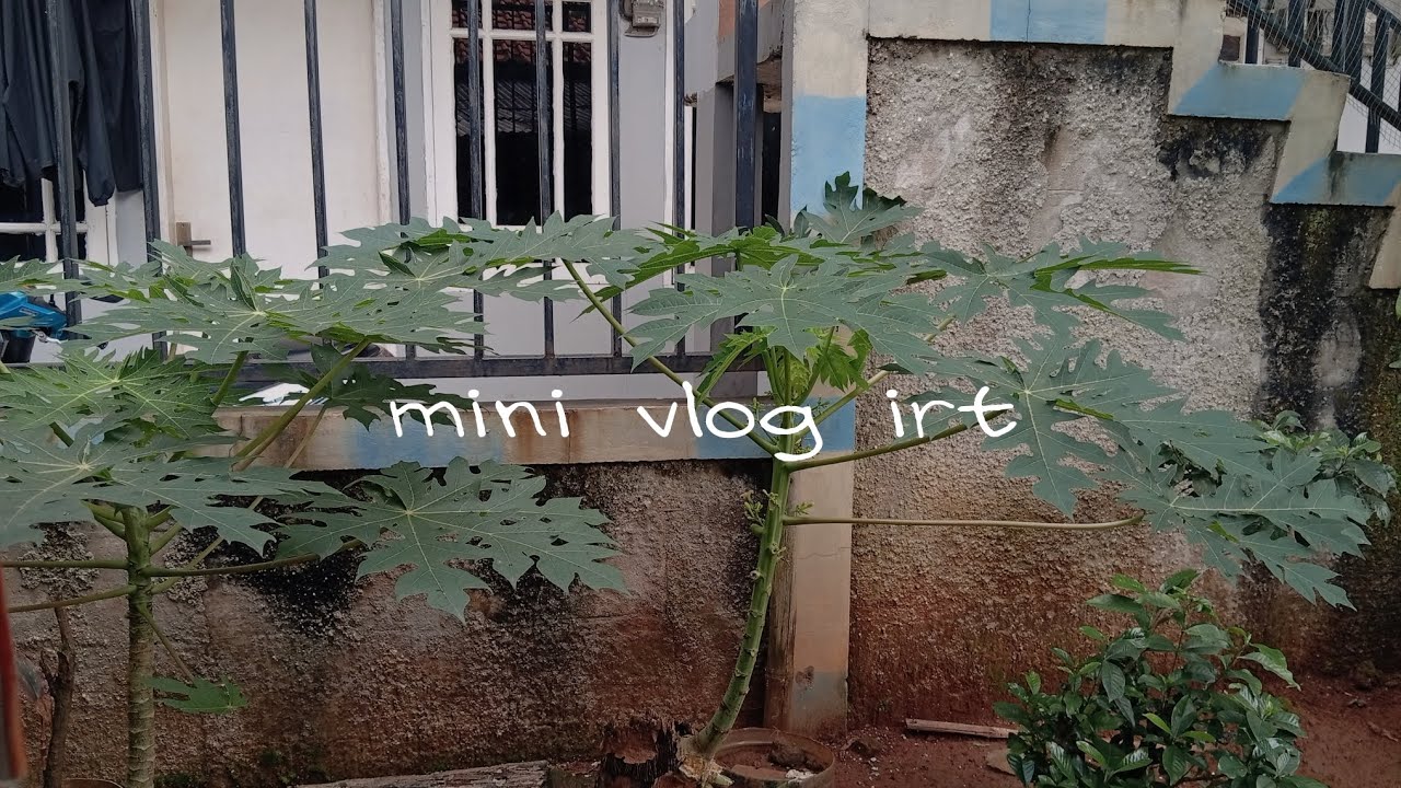 Mini vlog irt||di rumah kontrakan🏡