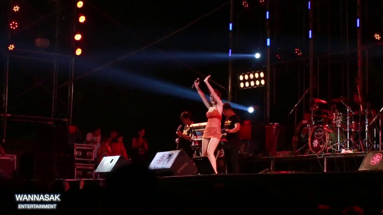 หญิงลี งานย่าโม 2557 (7) คลิปสุดท้าย