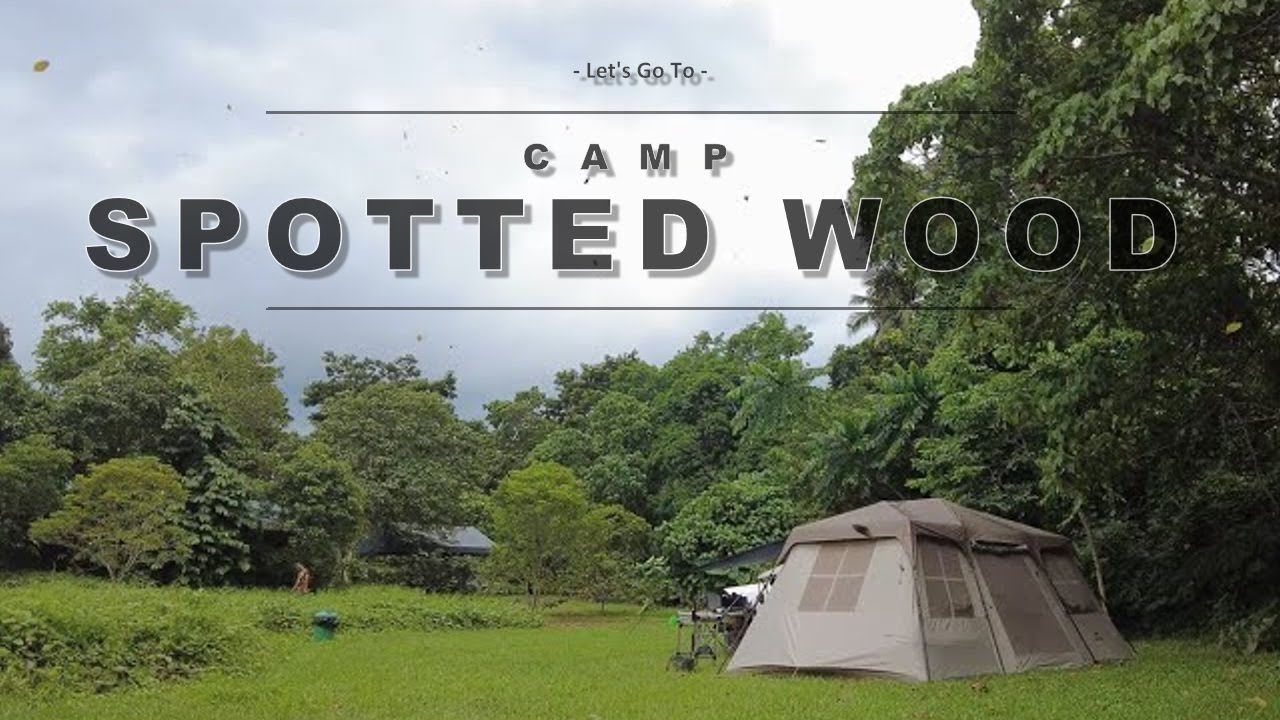 Relaxing Family Camping | 4k | ASMR | Camp Spotted Wood