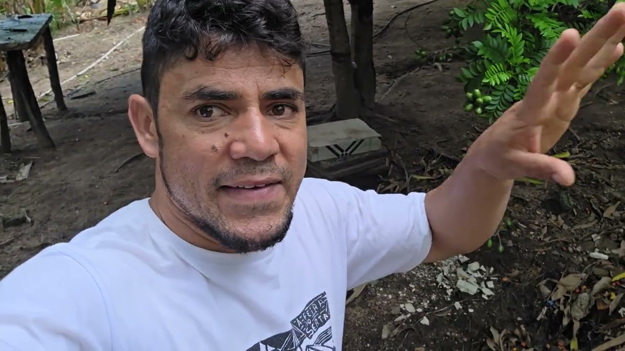 Início da nova obra aqui no sítio 