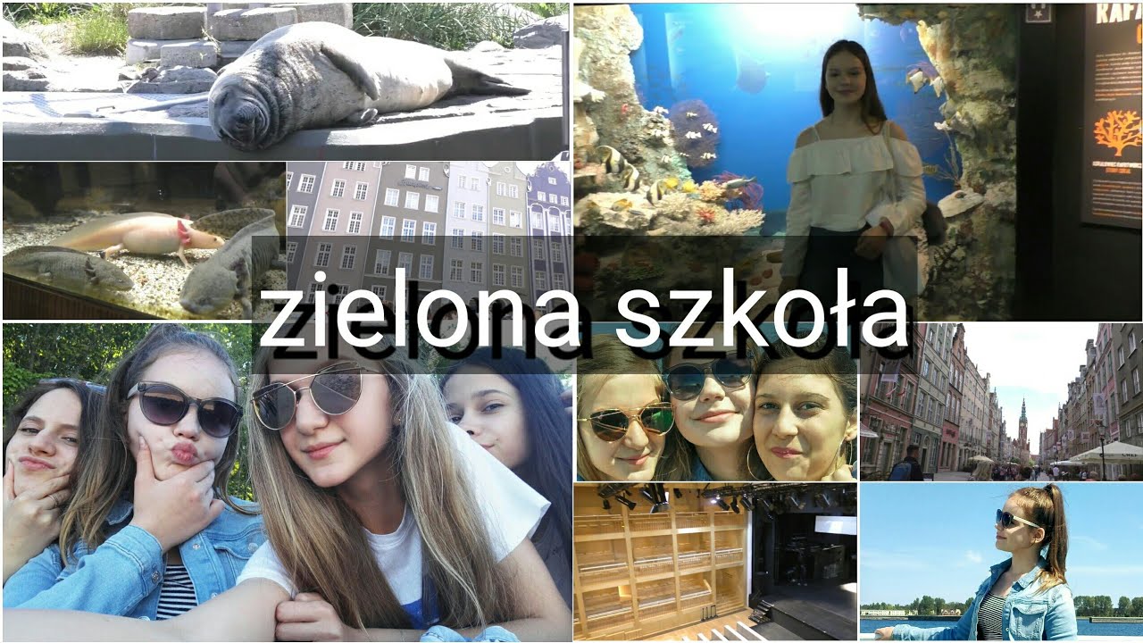 Vlog z ZIELONEJ SZKOŁY!