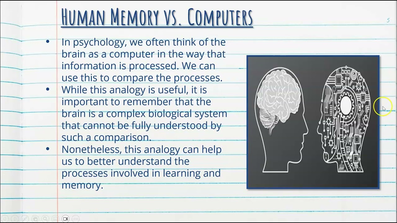 Information Processing Model - Cognitive Psychology - Stage 1 Psychology