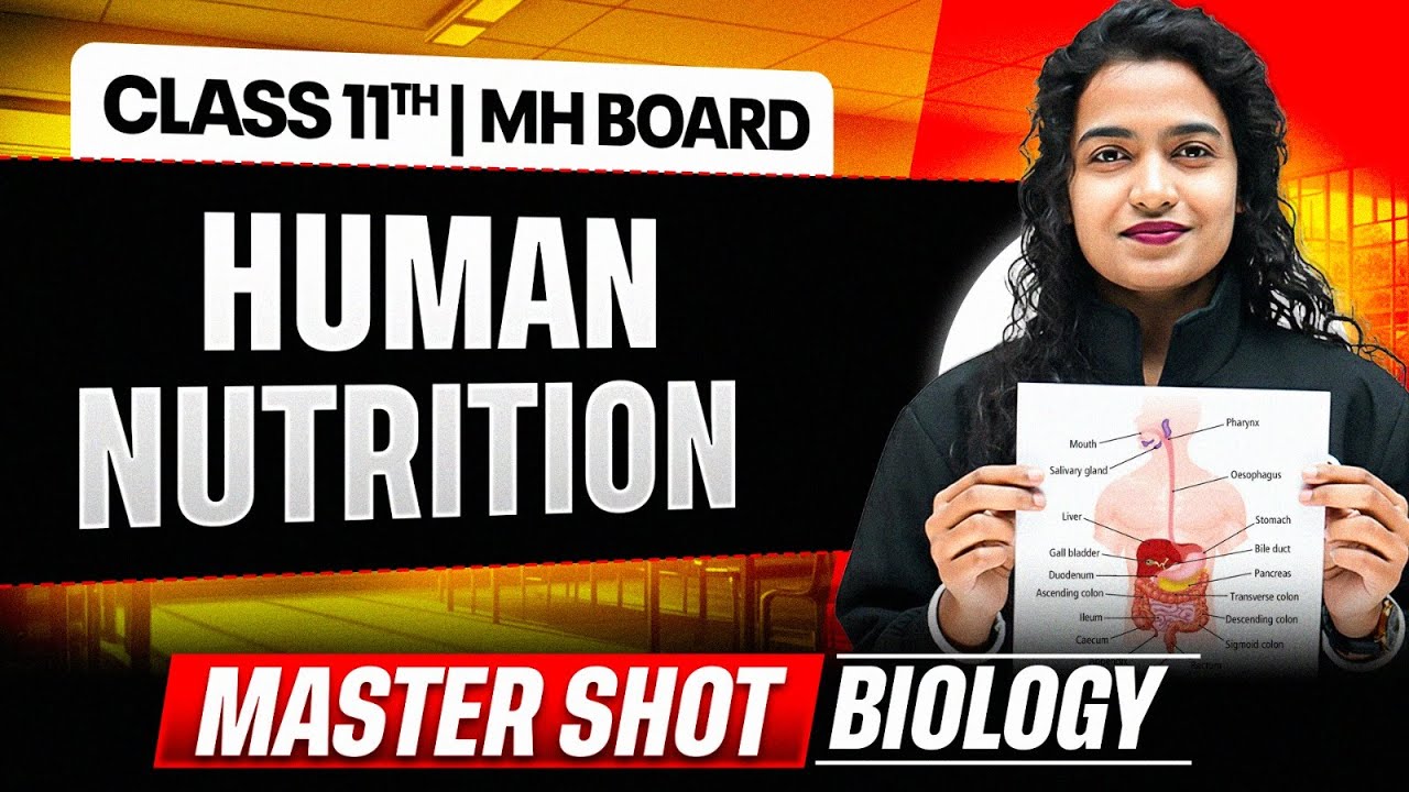Human Nutrition in One Shot Class 11 | Biology | Maharashtra Board 🔥