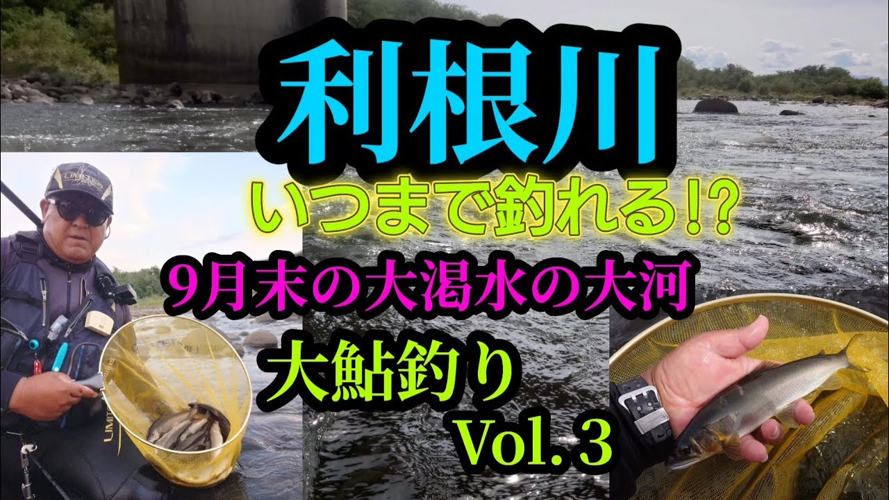 大渇水の大河!!9月末の利根川大鮎釣り。いつまで釣れる!?