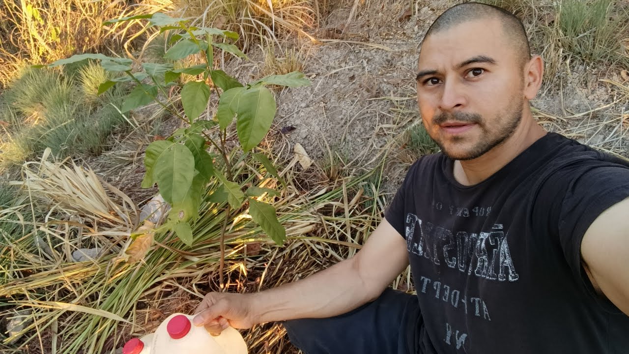 TRABAJANDO en EL SALVADOR 🇸🇻 Por mi FUTURO
