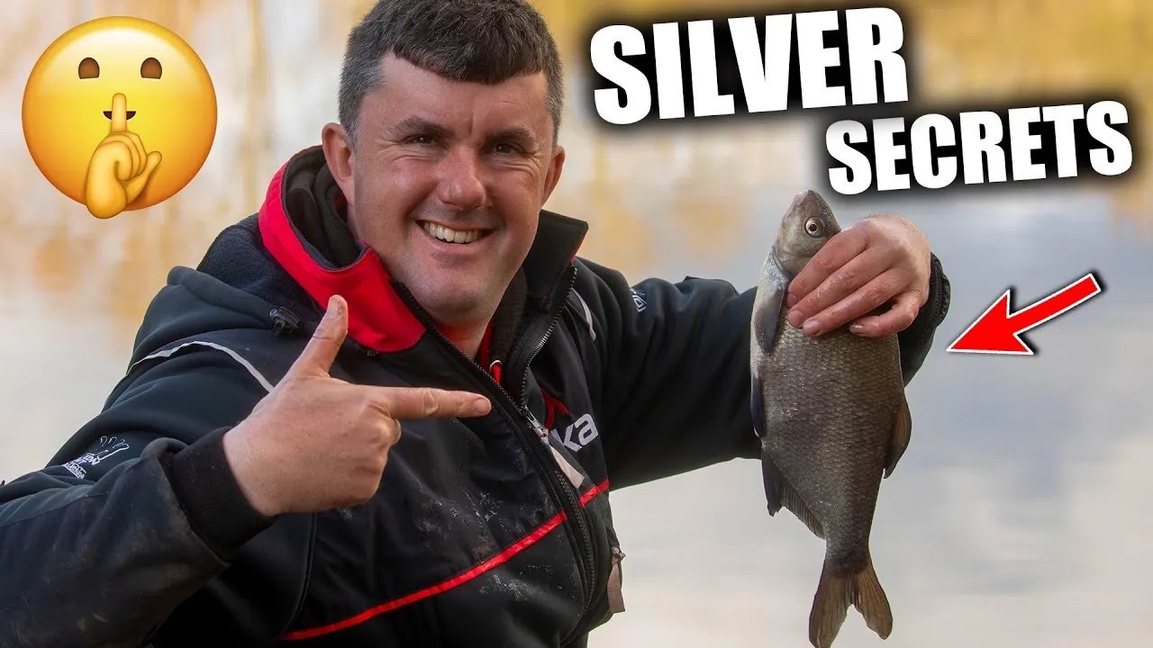 Silverfish Secrets | Tom Scholey
