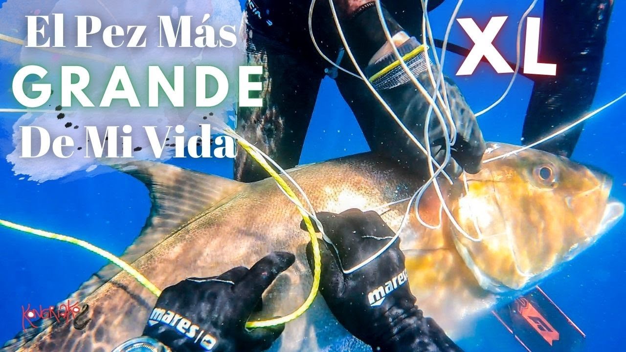 ✅ ¡El PEZ MÁS GRANDE de Mi VIda! 🏆🔥 FINAL ÉPICO de la Aventura en Panamá |