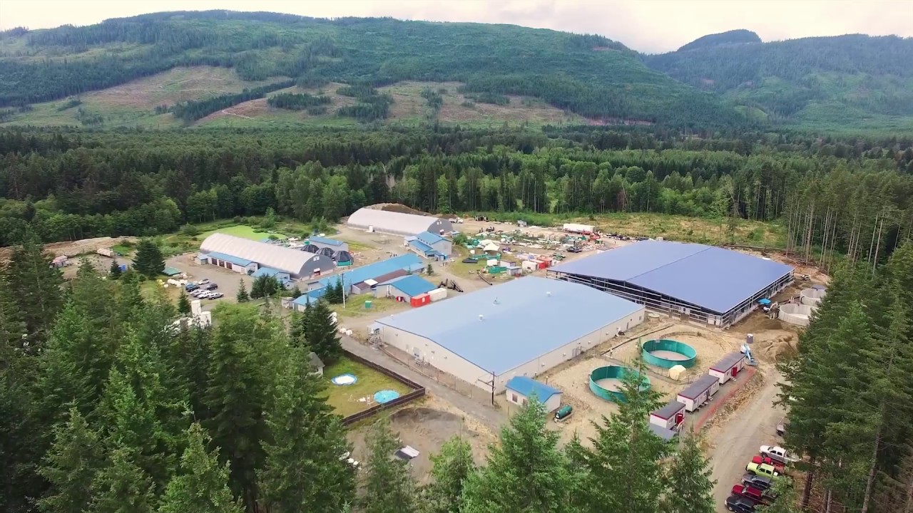 Recirculating Aquaculture Systems Technologies