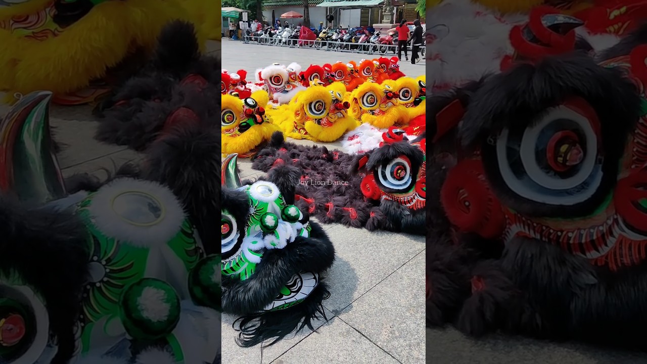 Qu&aacute; Nhiều L&acirc;n Đẹp #mualan #liondance #lansurong #mualantet #tet2025 #babycat #funny #mualan