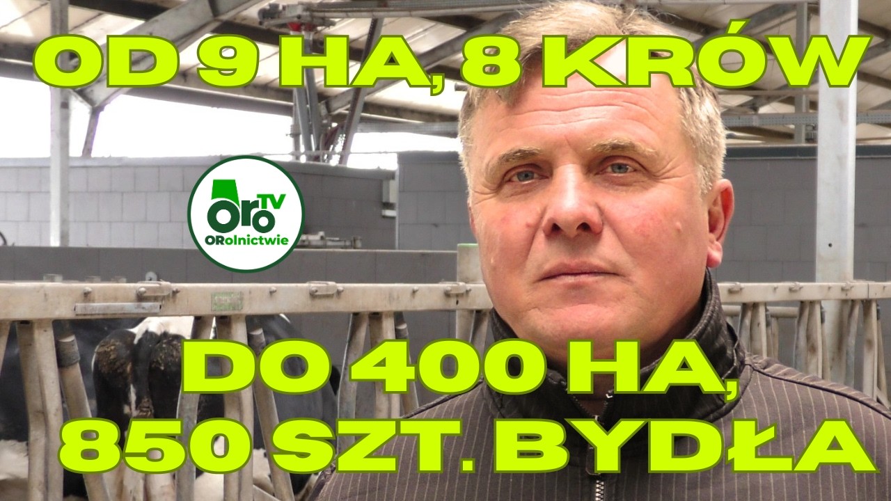 U Łepkowskich 300 kr&oacute;w karmi polski robot. Tu Podlasie, tu przyszłość!