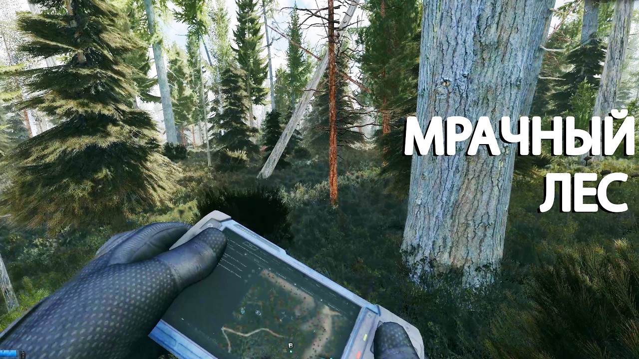 Мрачный лес... STALKER Рейд во Мрак #15