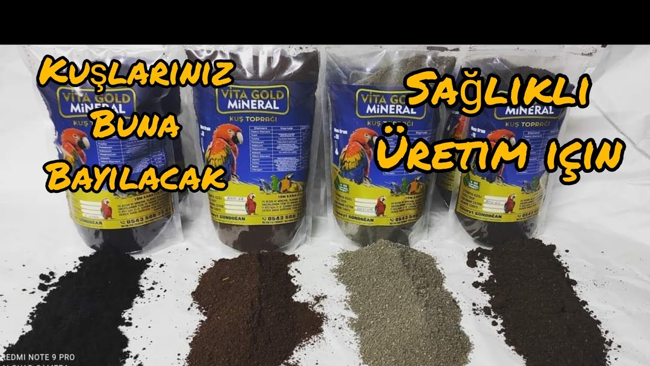 Kuş Toprağının Faydaları l Neden Kuş Toprağı Veriyoruz l Vlog