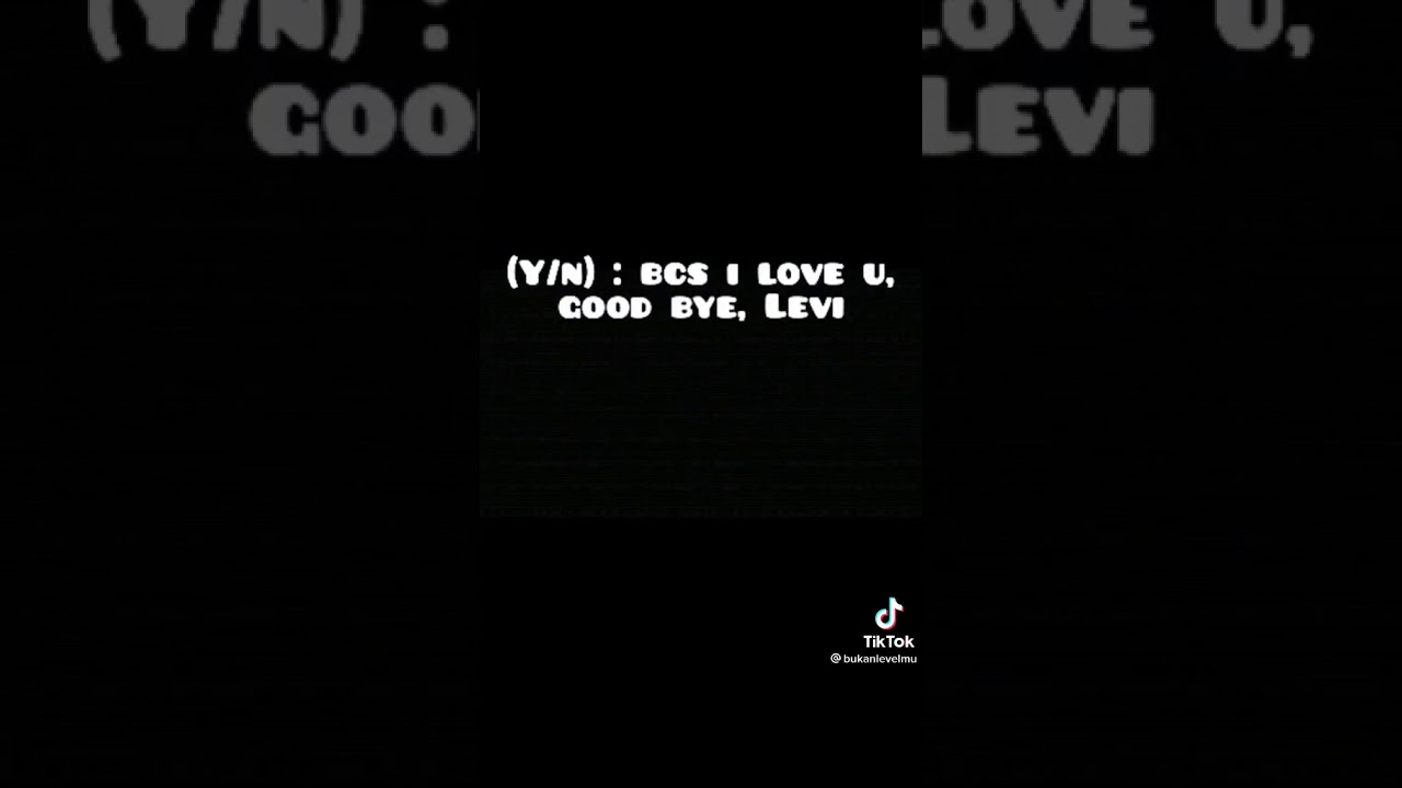 Y/N Why?! [ Y/N x Levi ] [ Attack on Titan ]  [ Because i love you levi ] By : Karma_Gazn