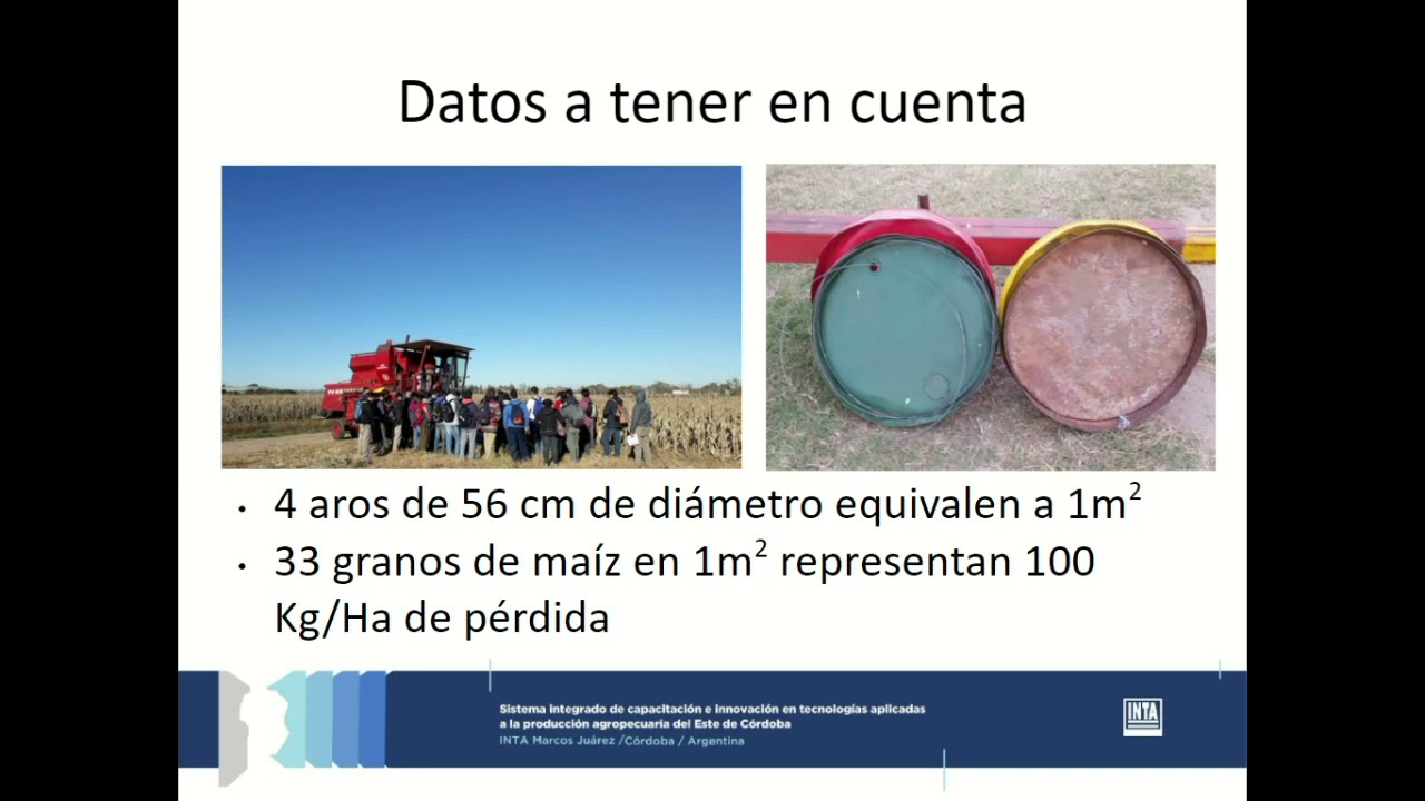 Charla online - Evaluación de pérdidas en la cosecha de granos de soja y maíz