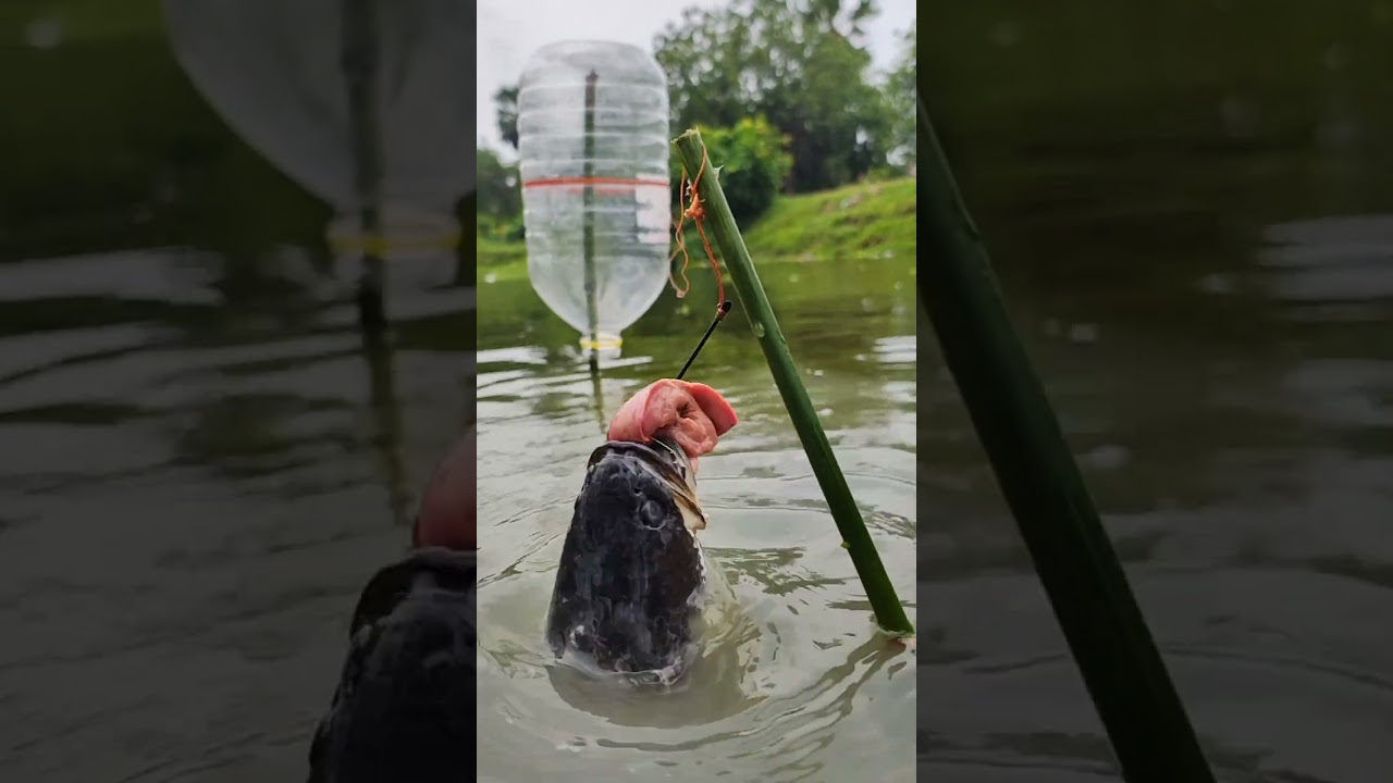 unique Fishing skills Video. #fish #fishing #video
