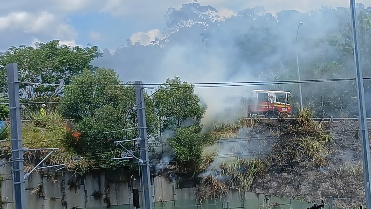 (QFR/QPS) 509 Alpha, 507 Alpha, QPS Camry and Rav-4 on scene of a Vegetation Fire