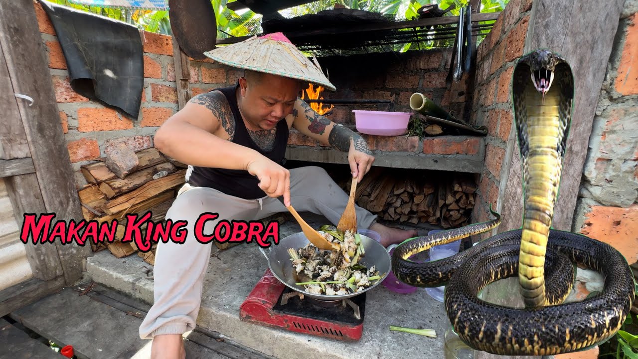 Masak Ular King Cobra Berempah Asli Dalam Buluh // Rasa Ular Banyak Manis Jadi Lembut …//