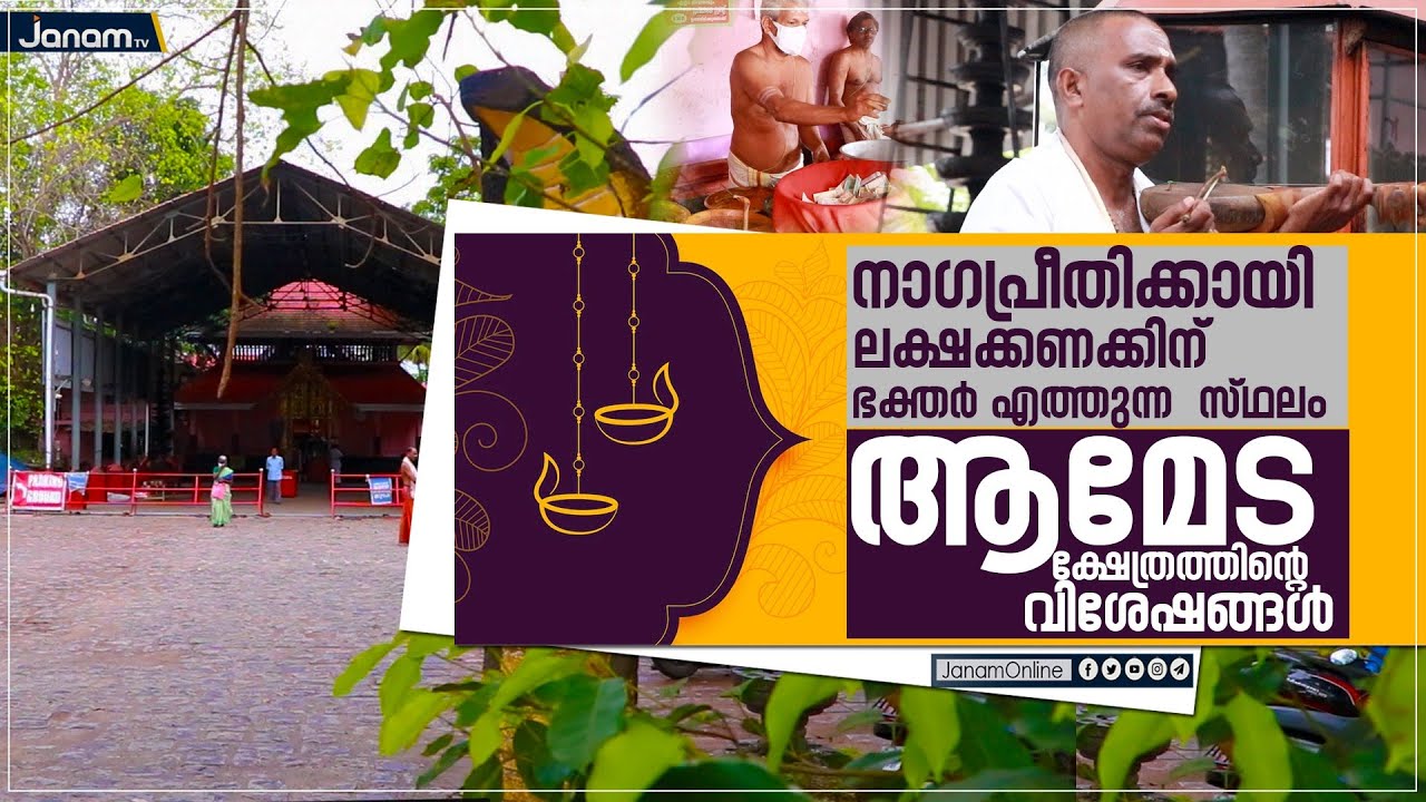 നാഗപ്രീതിക്കായി ലക്ഷക്കണക്കിന് ഭക്തർ എത്തുന്ന സ്ഥലം; ആമേട ക്ഷേത്രത്തിന്റെ വിശേഷങ്ങൾ |Ameda Temple