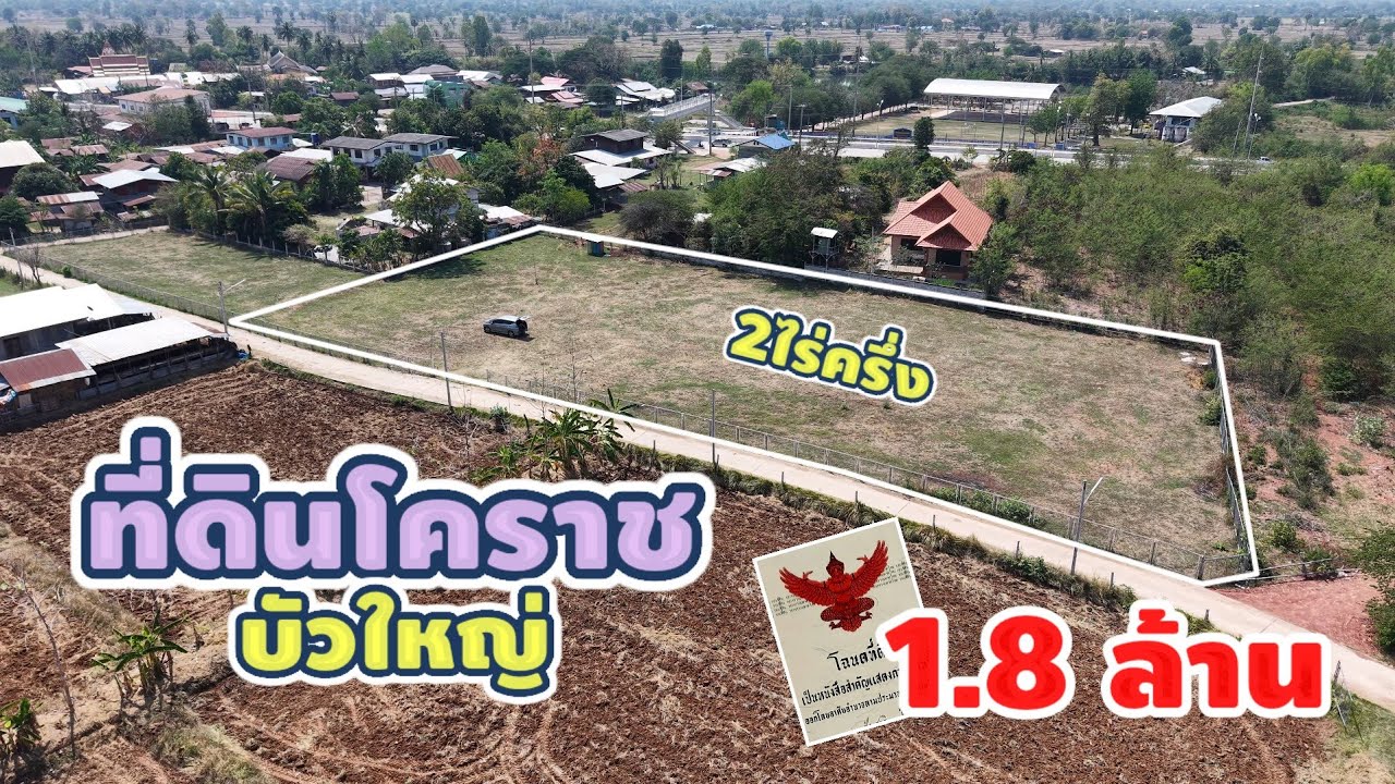 มาดามโอ๋ | ขายที่ดินบัวใหญ่ 2.5 ไร่ 1.8 ล้าน ล้อมรั้วแล้ว ใกล้ถนนใหญ่ 4 เลน 100 เมตร! ต.ขุนทอง โคราช