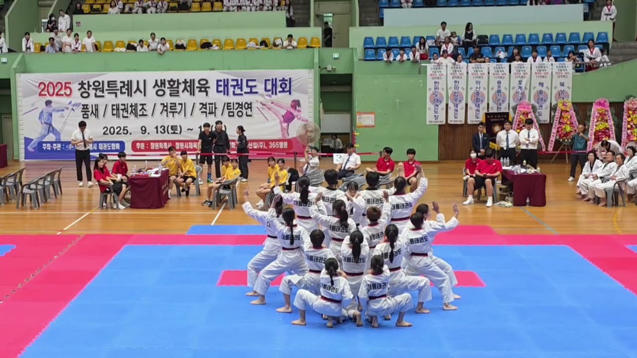 품새선수들의 태권체조 데뷔#소다팝#태권체조#taekwondo #sodapop #대룡태권도