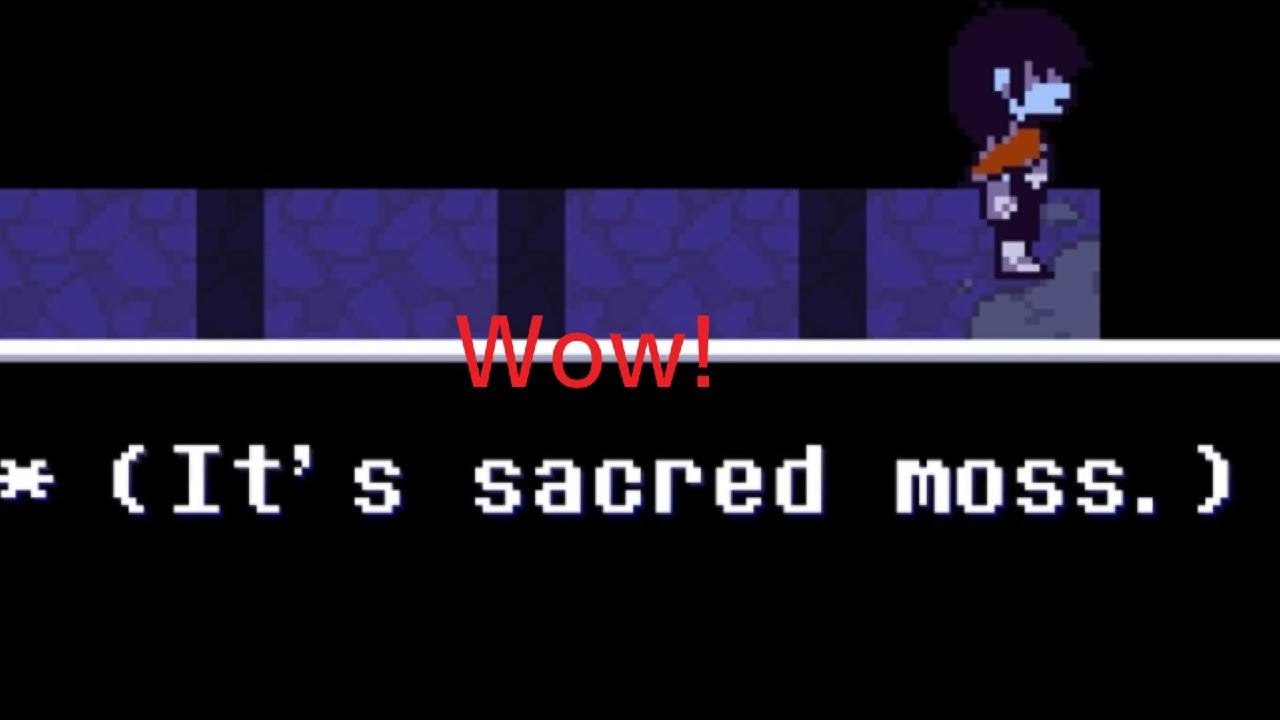 Kris eats moss for the fourth time