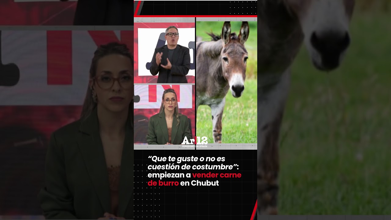 Empez&oacute; la comercializaci&oacute;n de carne de burro en Chubut: &ldquo;Que te guste o no es cuesti&oacute;n de costumbre&rdquo;