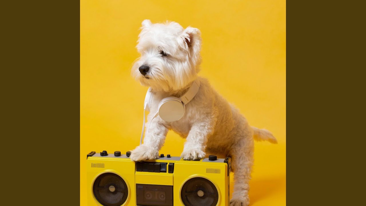Gentle Sounds for Dogs