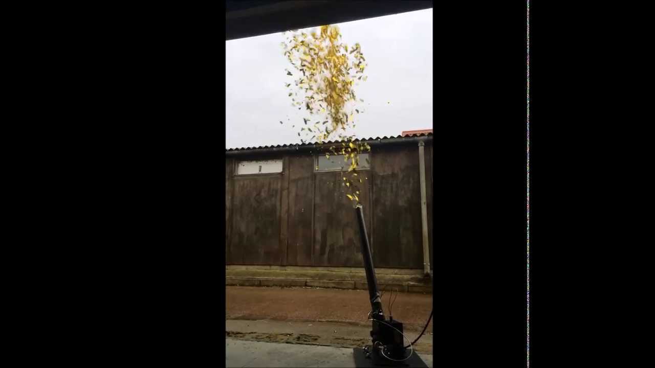 Confetti Cannon Hire